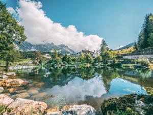 霍赫克尼希山麓丁滕优泊古森艾姆度假酒店的享有以山脉为背景的湖泊美景