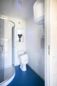 乌斯特卡Domki z klimatem的一间带卫生间和玻璃淋浴间的浴室