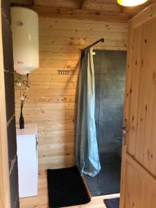 BoruczaZamieszkaj na wsi blisko Warszawy的小木屋内带淋浴的浴室