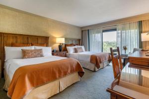 阿什维尔阿什欧姆尼丛林公园酒店 的酒店客房设有两张床和窗户。
