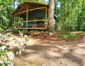 海伦Mountain Laurel Cottage at Hearthstone Cabins and Camping - Pet Friendly的树林里一棵树的房子