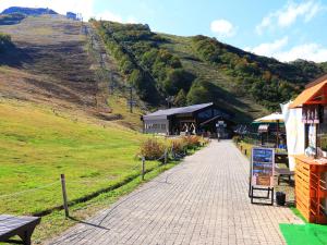 白马村白马格雷斯酒店的相册照片