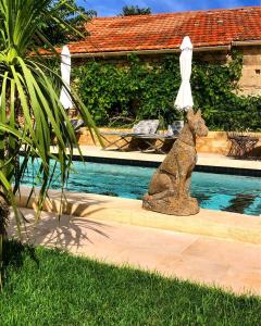 圣雷米普罗旺斯Le petit hotel的游泳池旁的狗雕像