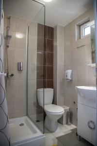 奥赫里德Villa Marko - Trpejca的一间带卫生间和玻璃淋浴间的浴室