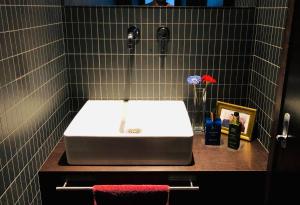 圣迪耶Superbe chambre chez l'habitant的台面上带白色水槽的浴室