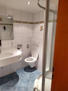 布莱特瑙Hotel Faller的一间带卫生间和水槽的浴室