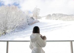 白马村STARRY的一位拿着泰迪熊的女人,看着窗外的雪