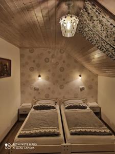 大比洛维采Sklípek u Svobodů的一间卧室配有两张床和吊灯。