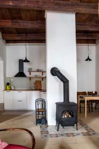 班斯卡 - 什佳夫尼察Vila Dorothea的带壁炉的带桌子和厨房的客房