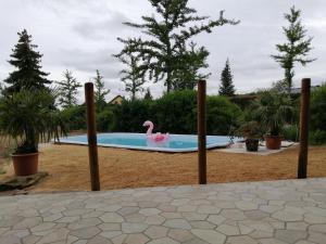 皮尔纳"Altjessen 57"的院子里的游泳池,有粉红色的火烈鸟