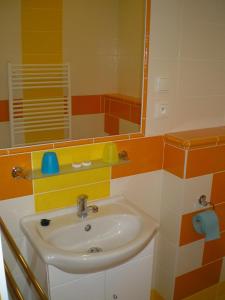 拉贝河畔乌斯季彭逊杜尔旅馆的一间带水槽和镜子的浴室