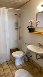 埃贝尔托夫特Hyggelig lille lejlighed的一间带卫生间和水槽的浴室