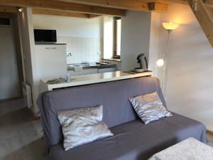 勒奥瓦尔德Loft mon Soleil的带沙发的客厅和厨房
