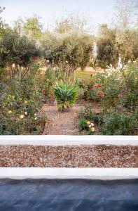 麦格雷戈The Grand Marigold的庭院里种有植物和花卉的花园