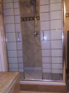 MarcellinaOasi di pace a Guidonia的浴室里设有玻璃门淋浴
