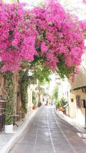 雅典Athenian House in Plaka Villa by Athenian Homes的一条空的街道上挂着粉红色的花朵