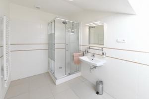 SněžnikHotel Švýcarský dům的带淋浴和盥洗盆的白色浴室