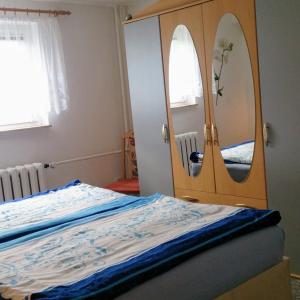巴贝Ferienwohnung Gentzen的一间卧室配有一张带大镜子的床