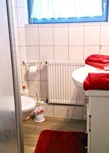 巴贝Ferienwohnung Gentzen的一间带水槽和卫生间的浴室以及窗户。