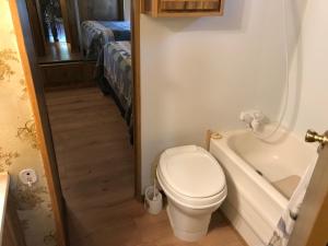 南福克Grandview Cabins & RV Resort的一间带卫生间和浴缸的浴室