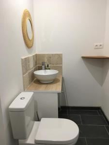 滨海圣西尔Rez-de-villa proche de la mer - Villa Temana的浴室配有白色卫生间和盥洗盆。