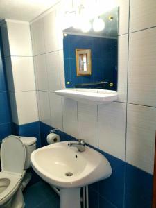 布朗Pensiunea Padina的一间带水槽、卫生间和镜子的浴室