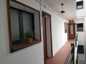 卡内·德·玛尔卡内旅馆的走廊上设有窗户和盆栽植物