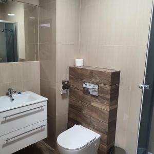 奥尔什丁JURAJSKI OLSZTYN的浴室配有卫生间、盥洗盆和淋浴。