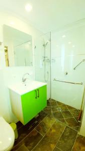 埃拉特城市公寓的一间带绿色水槽和淋浴的浴室