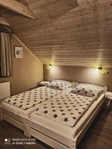 大比洛维采Sklípek u Svobodů的配有两张单人床的木天花板客房