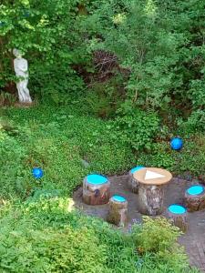 戈斯拉尔阿乐塔旅馆的一个带桌子和蓝色飞盘的花园