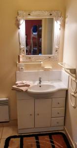 里昂Le Relais de Montchat的一间带水槽和镜子的浴室