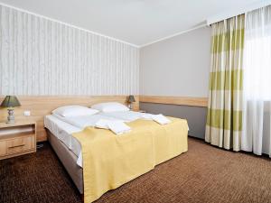 文克尼察穆扎可凯酒店的一间设有大床和窗户的酒店客房