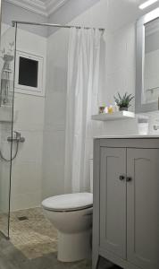 拉拉古纳El Mirador de Viana的白色的浴室设有卫生间和淋浴。