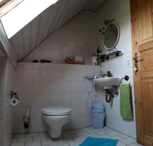 瓦兰奥斯蒂尔司多尔伟龙套房旅馆的一间带卫生间和水槽的浴室