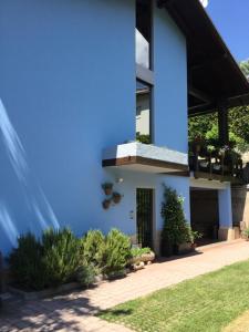 特伦托特伦托住宿加早餐旅馆的院子里种有植物的蓝色房子