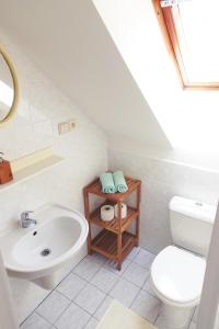 梅图耶河畔特普利采Pension Dita - Adršpach的白色的浴室设有水槽和卫生间。