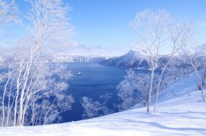 弟子屈町川汤观光酒店的树木成荫的雪景