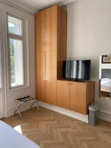 斯特拉斯堡橘园公寓的卧室配有木柜上的平面电视