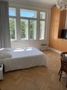斯特拉斯堡橘园公寓的卧室配有一张白色大床,部分设有窗户