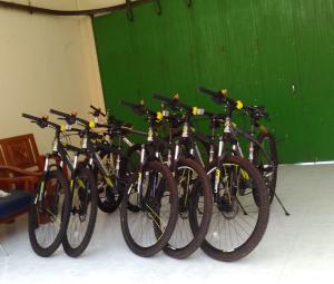 婆罗浮屠格利亚哈尔佳民宿的彼此相邻的自行车