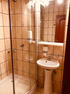 锡吉什瓦拉沼泽地酒店的带淋浴和盥洗盆的浴室