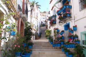 阿利坎特Apartamento en el centro de Alicante的一条布满蓝色花盆和植物的楼梯