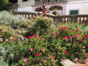 蒙特瓦尔基Villa Baronzola的一座花园,在房子前方种有粉红色的花朵