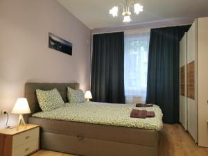 索非亚Rila Apartment的一间卧室配有一张带蓝色窗帘的床和一扇窗户