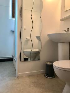 Condamine-ChâtelardLa Condaminoise的一间带水槽、卫生间和镜子的浴室