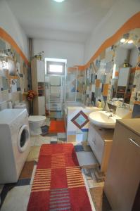 斯米扎尼索鲁多斯-斯皮斯基卢维多姆旅馆的一间带水槽和洗衣机的浴室