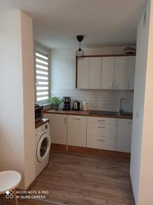 Apartament pod Szóstką的厨房或小厨房