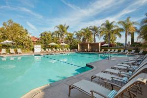 蒂梅丘拉南海岸酒庄度假酒店及Spa的一个带躺椅的大型游泳池,棕榈树