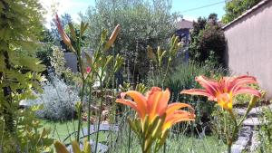 AuriolEclats du Sud的庭院里种满鲜花和植物的花园